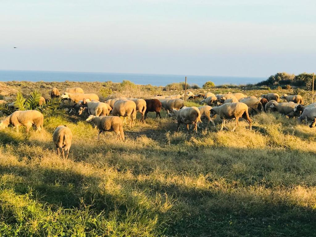 Bungalows & Estudios Los Escullos Αλμερία Εξωτερικό φωτογραφία