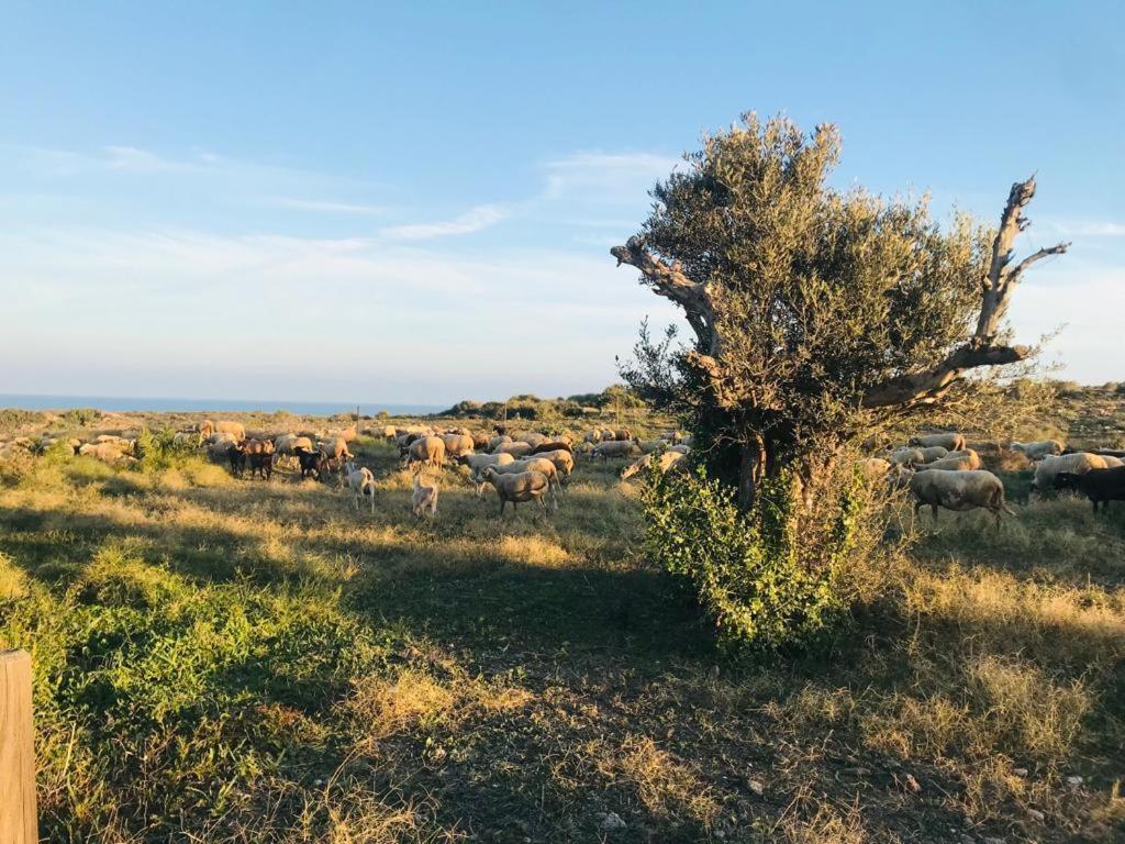 Bungalows & Estudios Los Escullos Αλμερία Εξωτερικό φωτογραφία